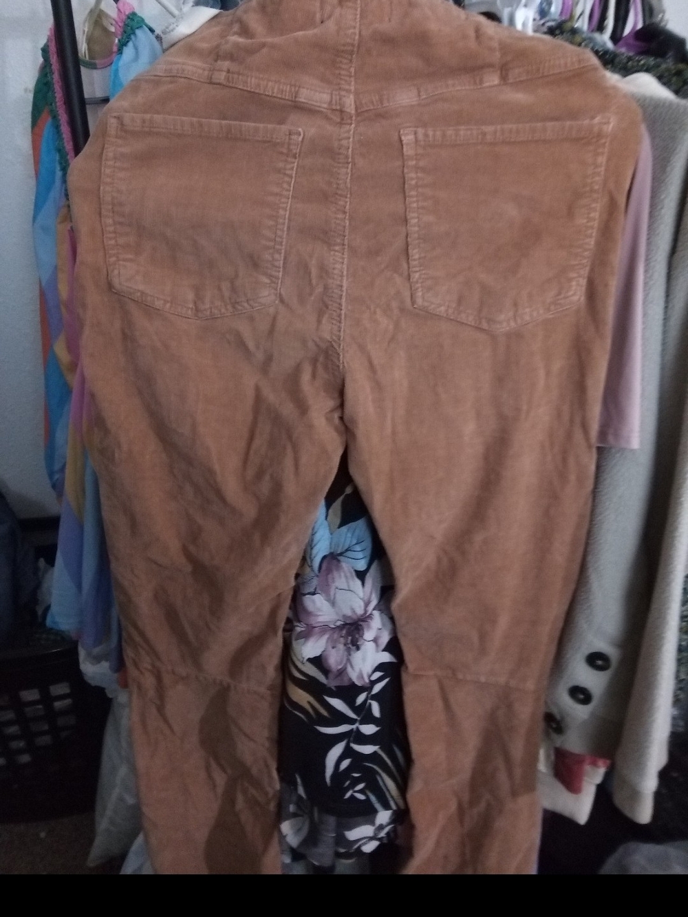 Corduroy High-Waist Pants in Warm Brown We The People.
